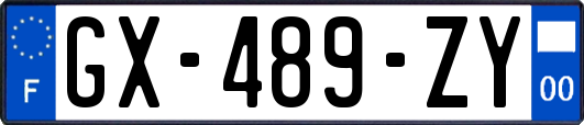 GX-489-ZY