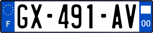 GX-491-AV