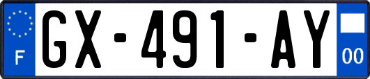 GX-491-AY