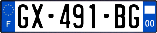 GX-491-BG