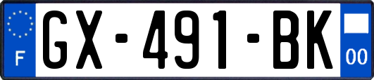 GX-491-BK