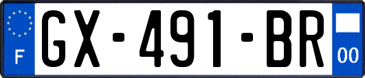 GX-491-BR