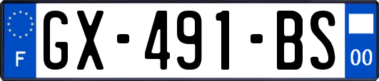 GX-491-BS