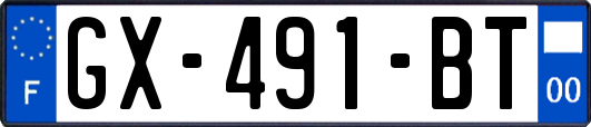 GX-491-BT