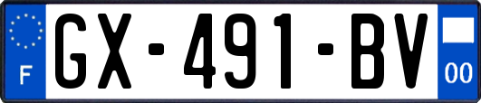GX-491-BV
