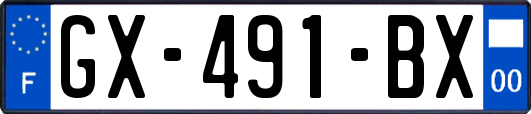 GX-491-BX
