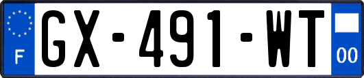 GX-491-WT