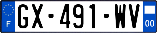 GX-491-WV