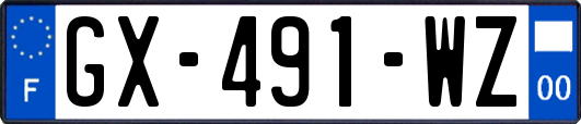 GX-491-WZ