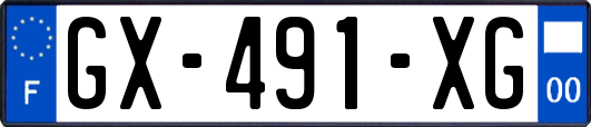 GX-491-XG