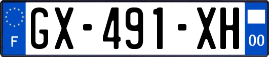 GX-491-XH