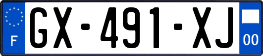 GX-491-XJ