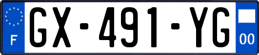 GX-491-YG