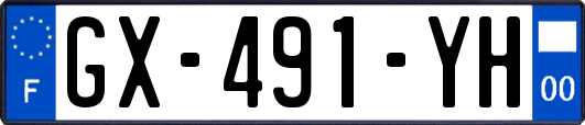 GX-491-YH