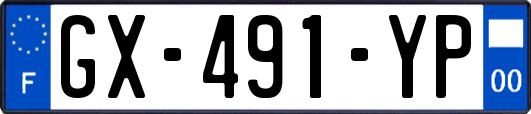 GX-491-YP