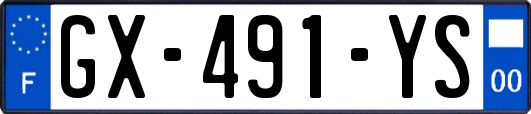 GX-491-YS