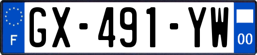 GX-491-YW