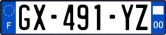 GX-491-YZ