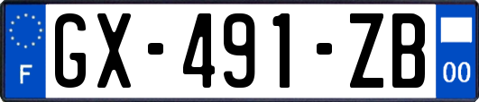 GX-491-ZB