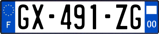 GX-491-ZG