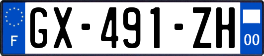 GX-491-ZH