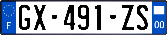 GX-491-ZS