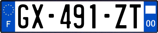 GX-491-ZT
