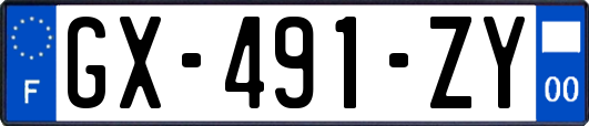 GX-491-ZY