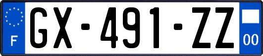 GX-491-ZZ