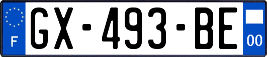GX-493-BE