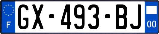 GX-493-BJ