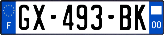 GX-493-BK
