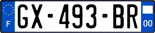 GX-493-BR