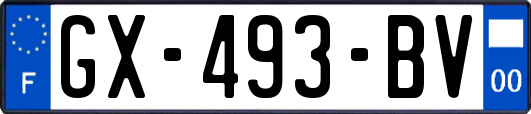 GX-493-BV