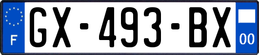 GX-493-BX
