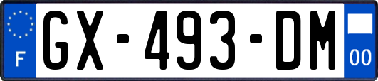 GX-493-DM