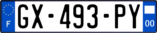 GX-493-PY