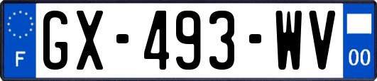 GX-493-WV