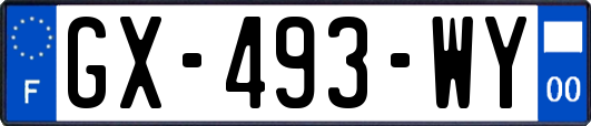 GX-493-WY