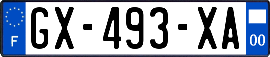 GX-493-XA