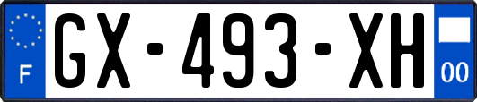 GX-493-XH