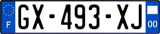 GX-493-XJ