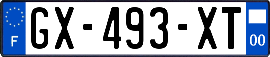 GX-493-XT