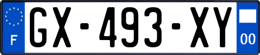 GX-493-XY