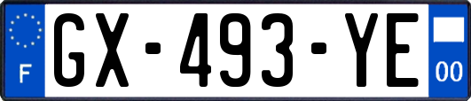 GX-493-YE
