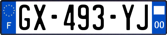 GX-493-YJ