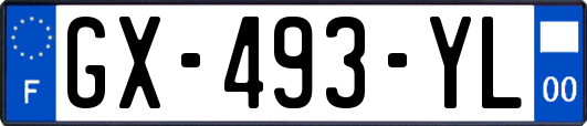 GX-493-YL