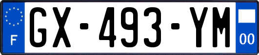 GX-493-YM
