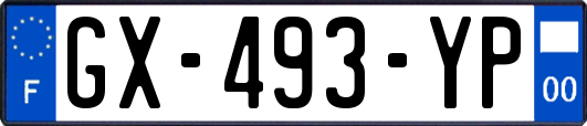 GX-493-YP