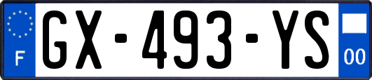 GX-493-YS